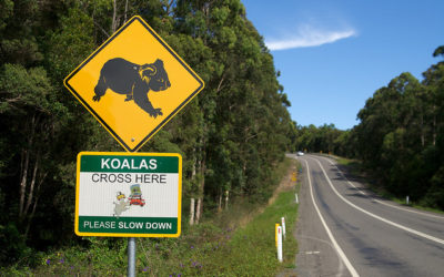 Some facts about Regional Sponsored Migration Scheme
