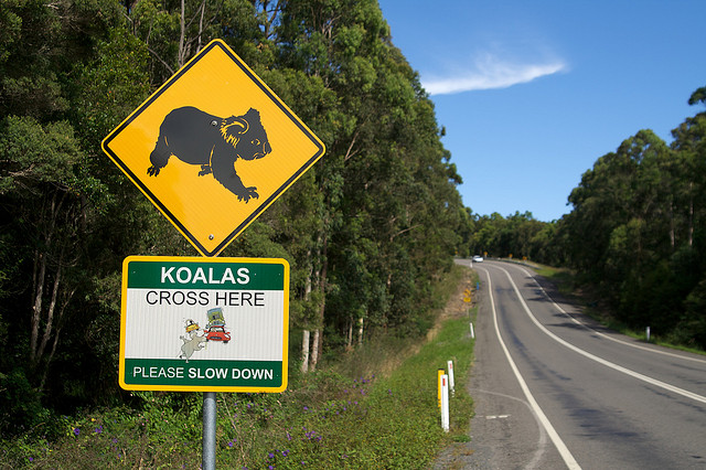 Some facts about Regional Sponsored Migration Scheme